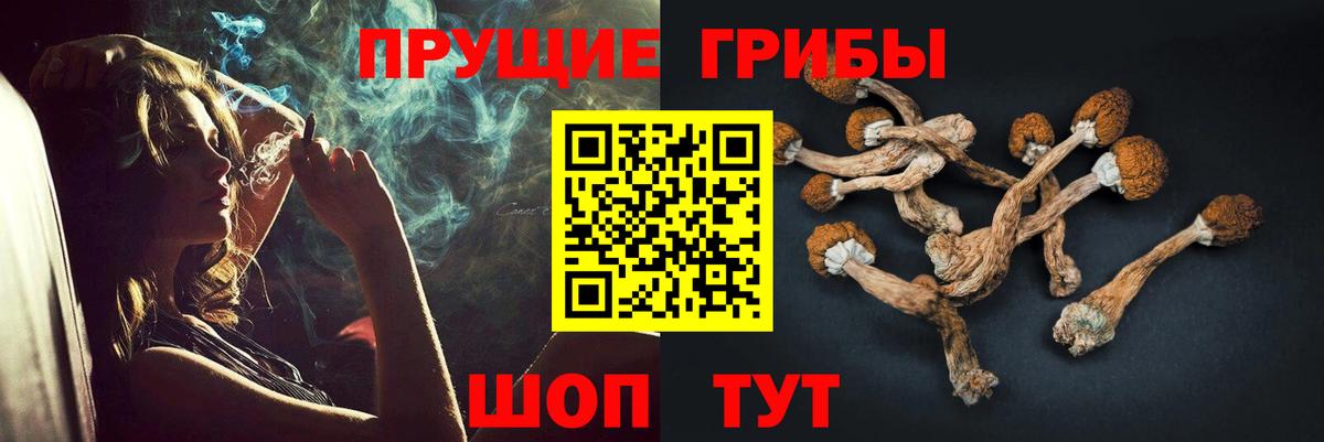 Псилоцибиновые грибы мухоморы  Вход с VPN  Новошахтинск  Псилоцибиновые грибы мицелий 